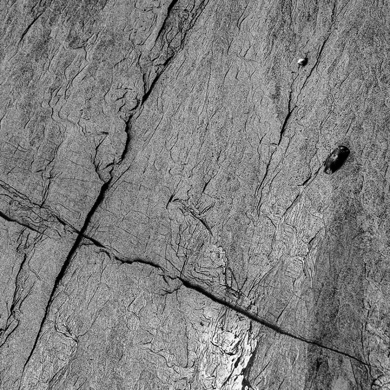 Photographie de Vincent Dufrène