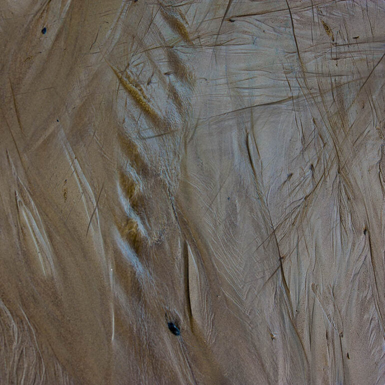 Photographie de Vincent Dufrène - Photos à grain | 09