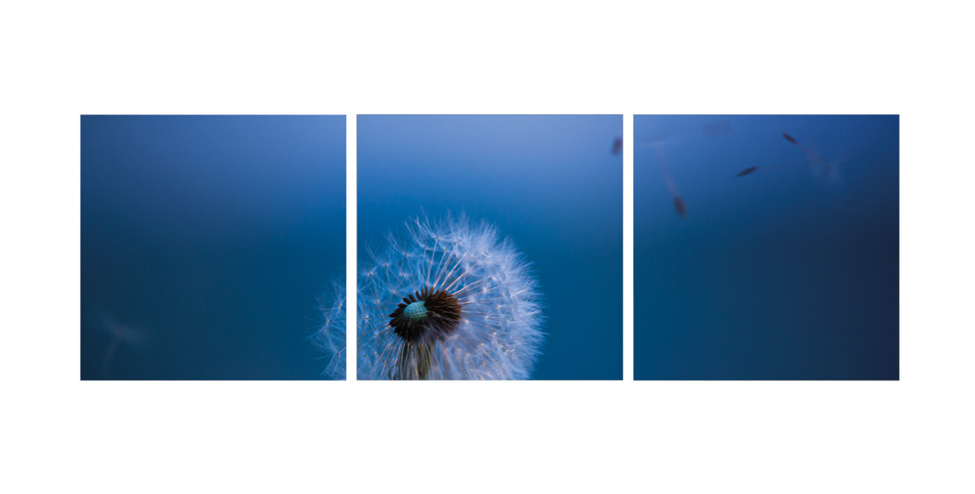 Triptyque Vincent Dufrène