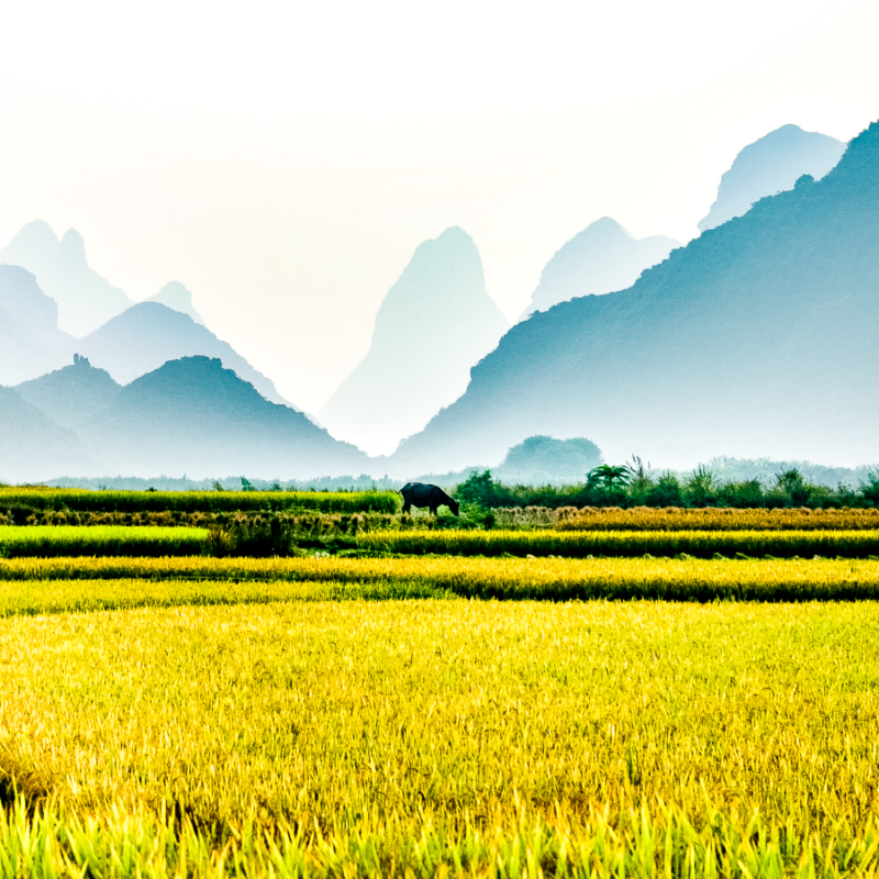 yangshuo chine2006 1