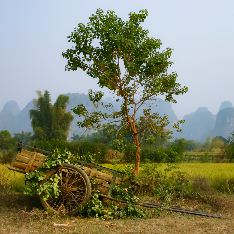 yangshuo chine2006 2
