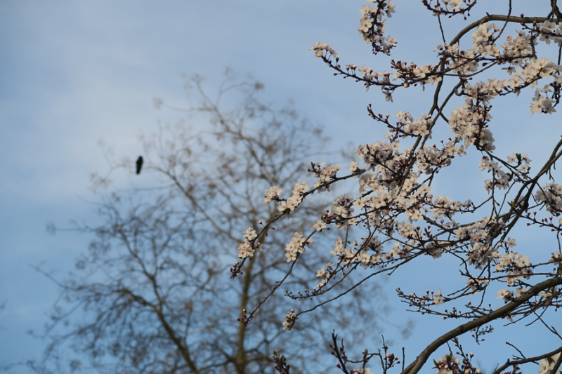 printemps 23 paris 1