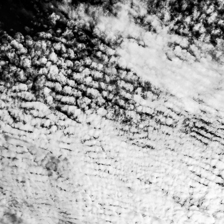 paysages vignette