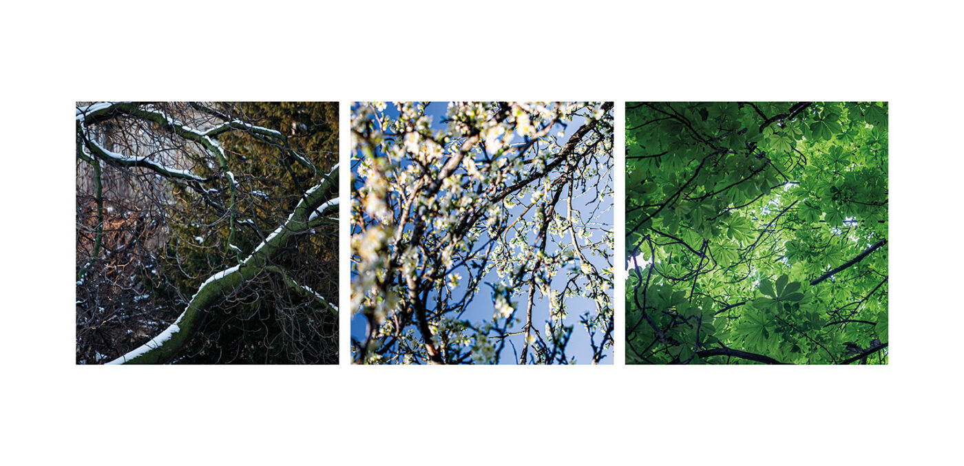 Triptyque Vincent Dufrène