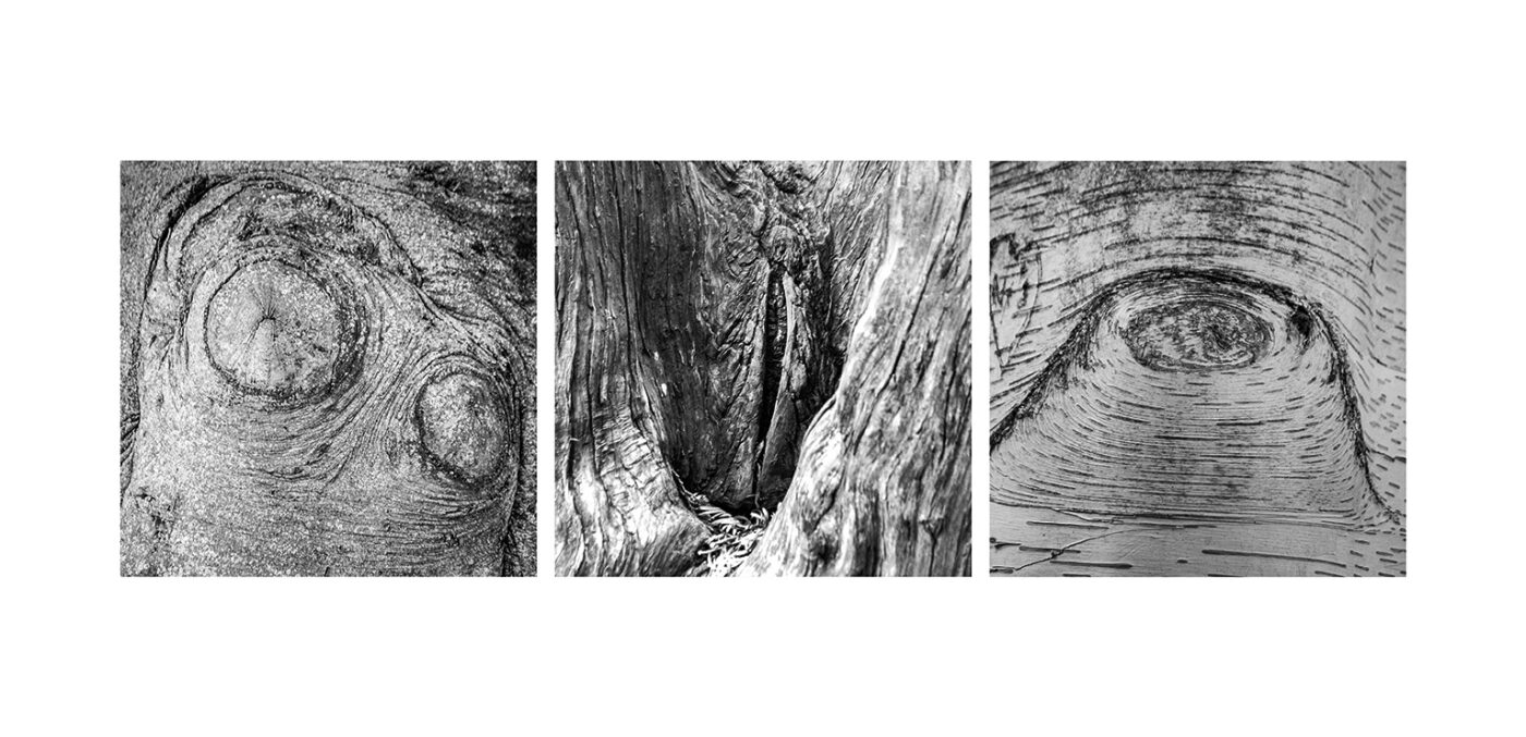 Triptyque Vincent Dufrène