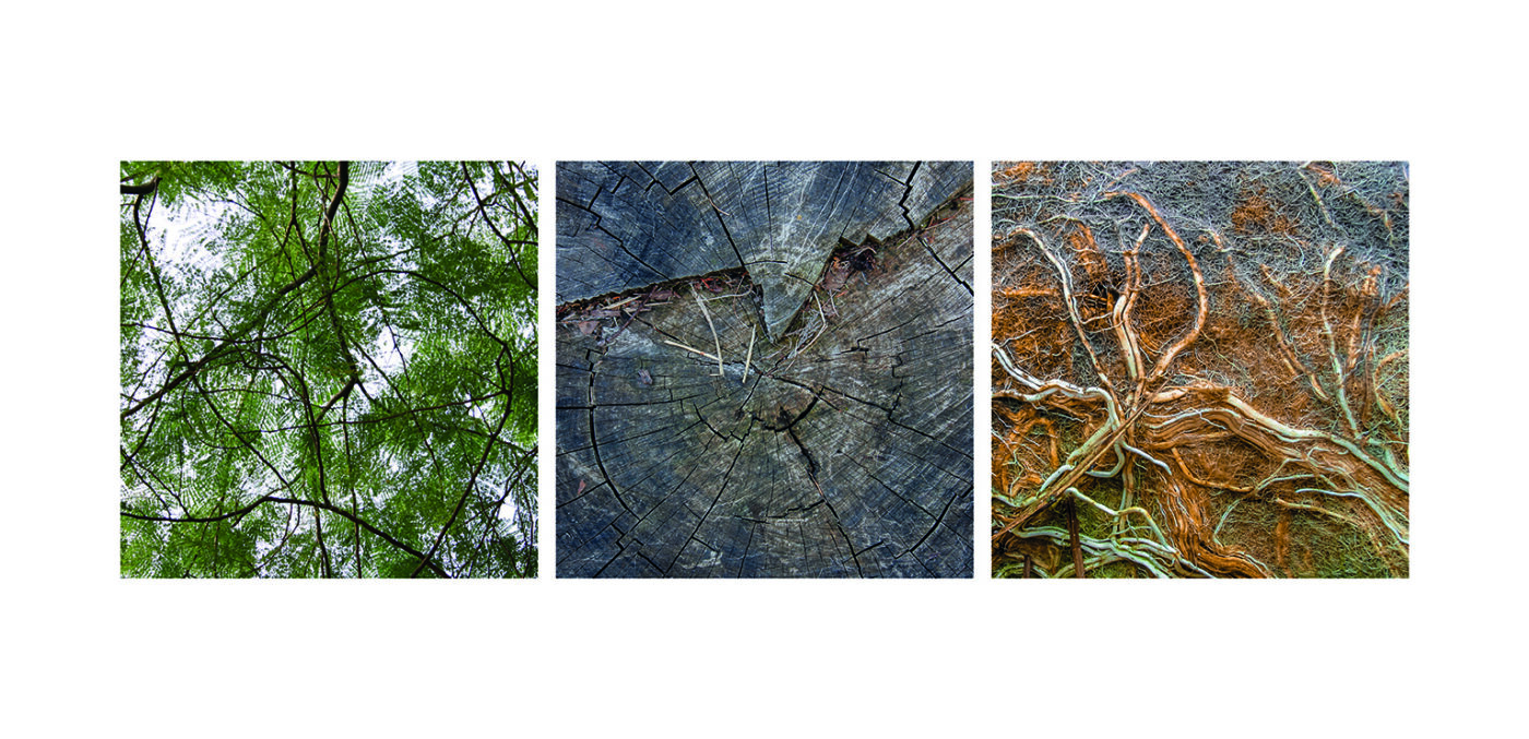 Triptyque Vincent Dufrène