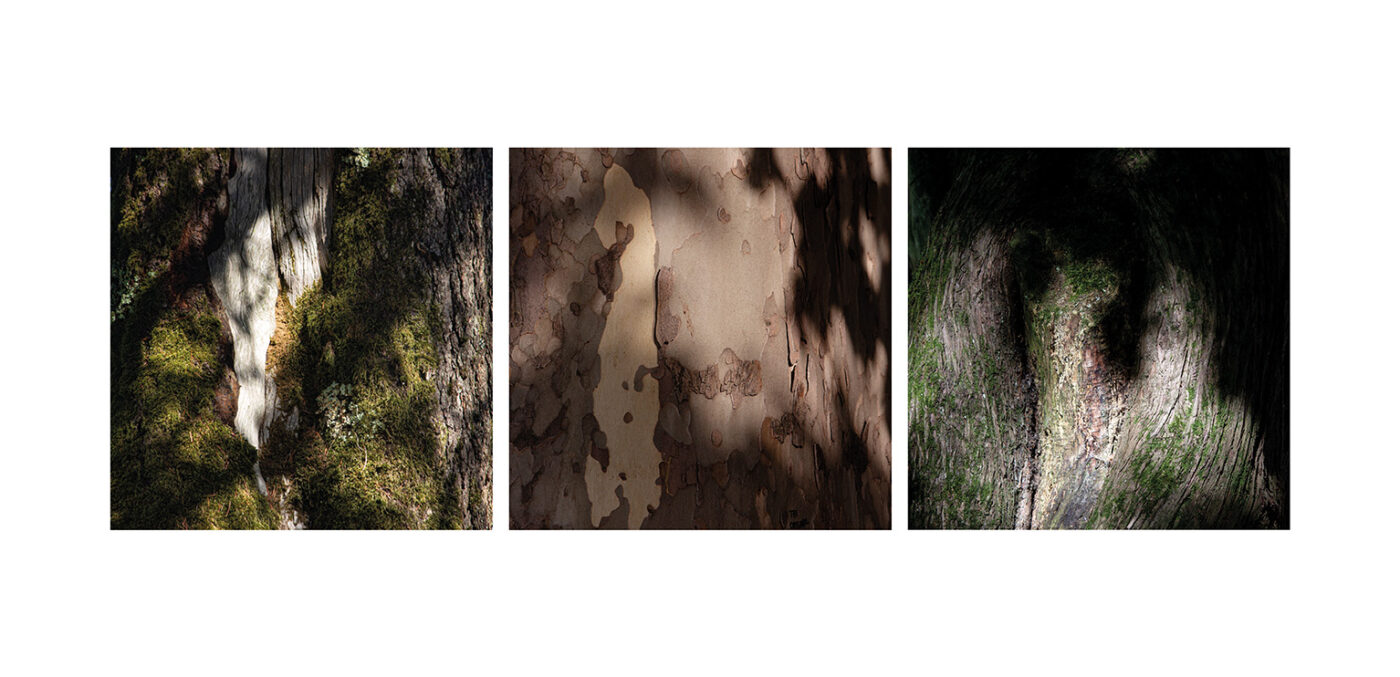 Triptyque Vincent Dufrène