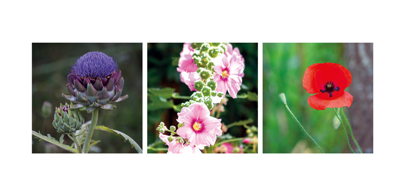 Triptyque Vincent Dufrène