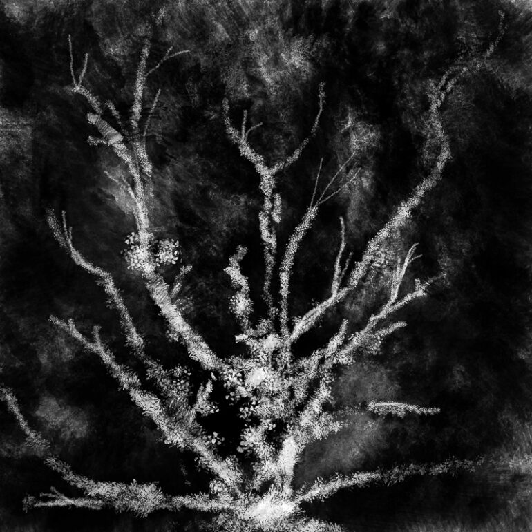 Recherche abstraite expression libre