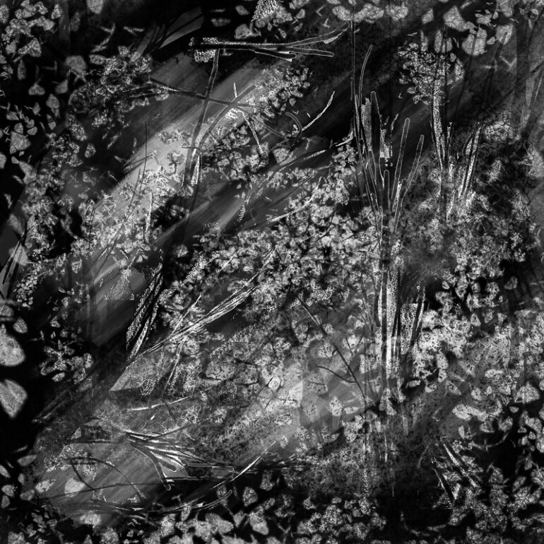 Recherche abstraite expression libre