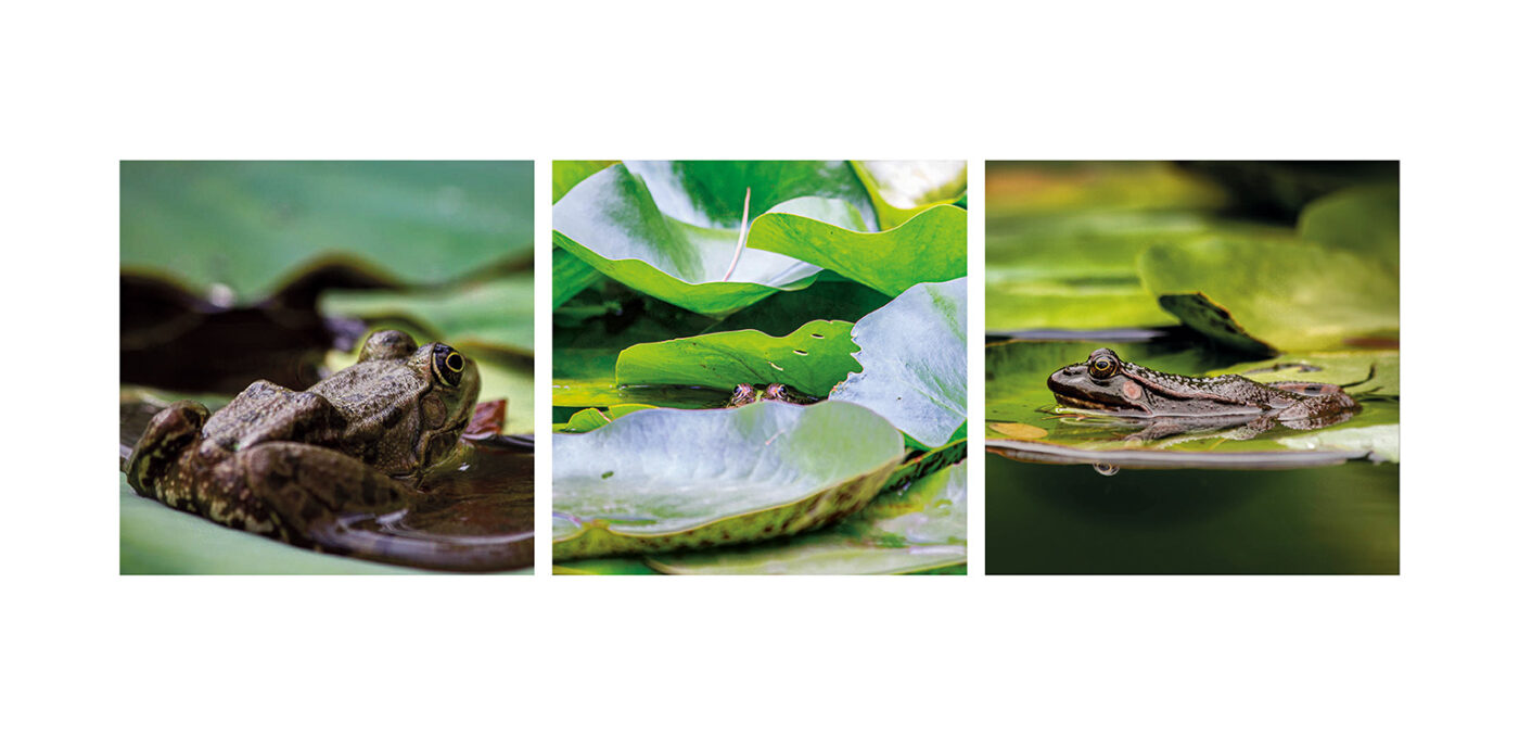 Triptyque Vincent Dufrène