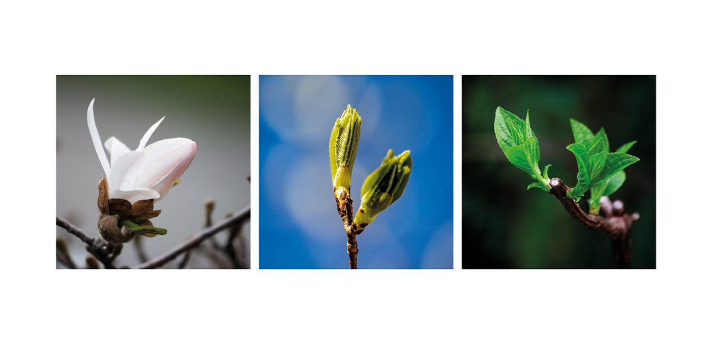 Triptyque Vincent Dufrène