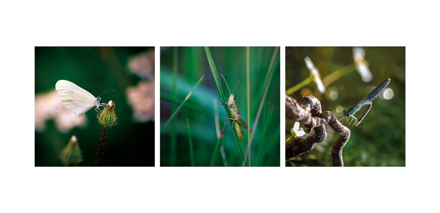 Triptyque Vincent Dufrène