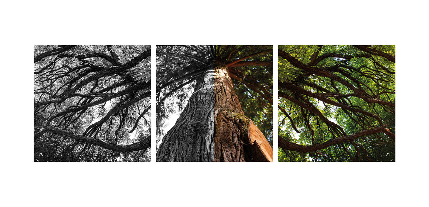 Triptyque Vincent Dufrène