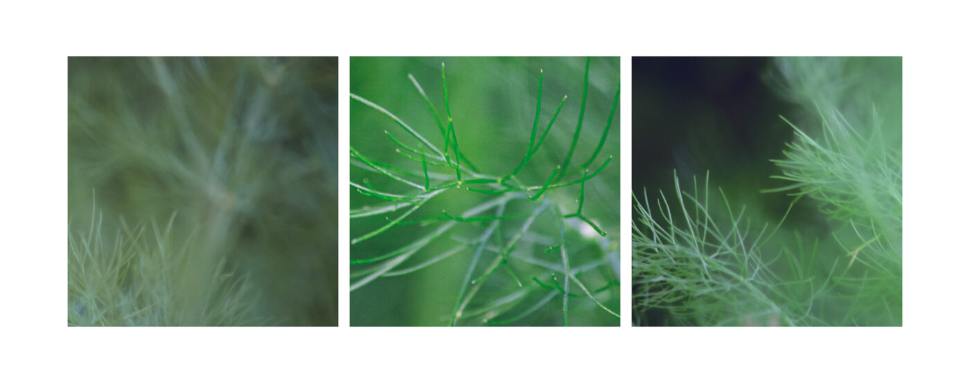 Triptyque Vincent Dufrène