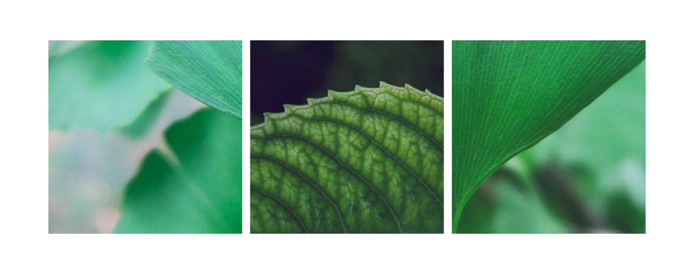 Triptyque Vincent Dufrène