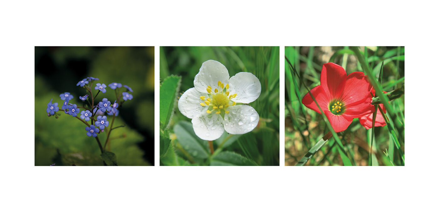 Triptyque Vincent Dufrène