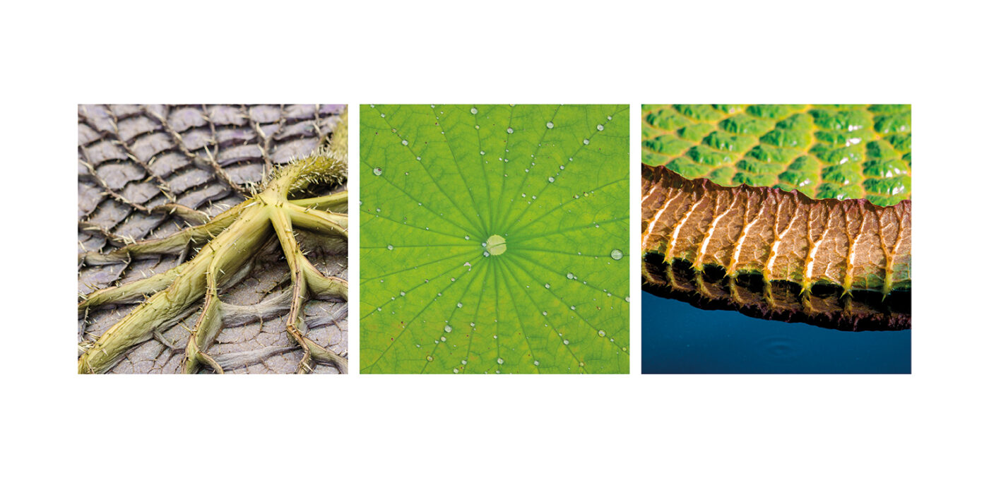 Triptyque Vincent Dufrène